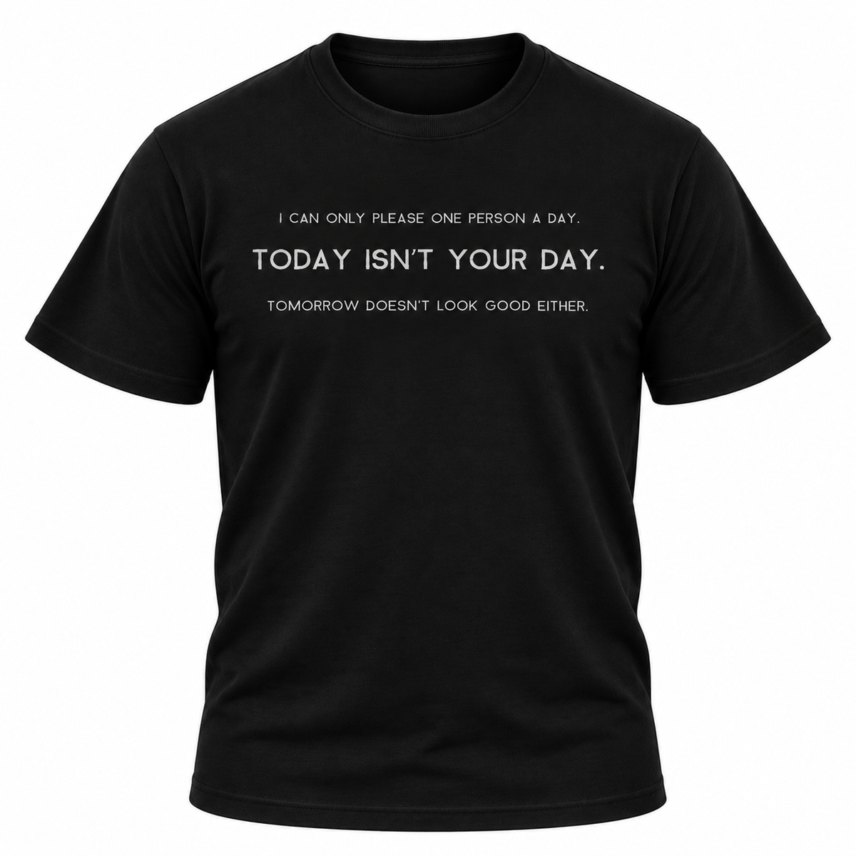 I Can Only Please One Person A Day T-Shirt