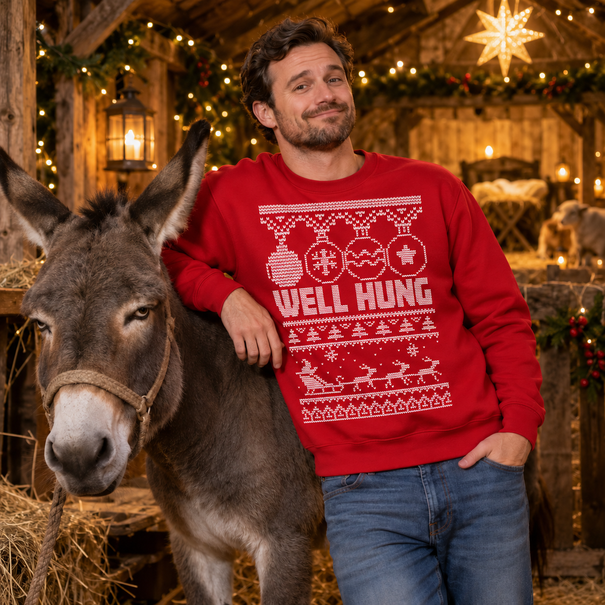 Well Hung – Funny Christmas Jumper