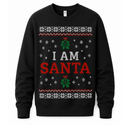 Santa Came Twice (HIS) – Funny Christmas Jumper