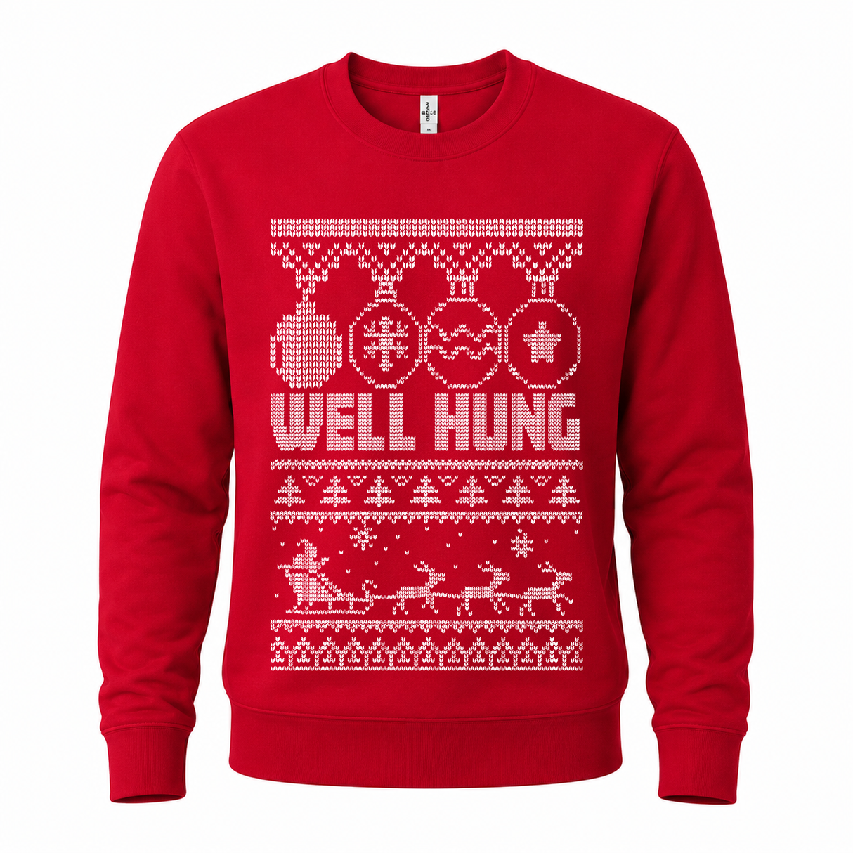 Well Hung – Funny Christmas Jumper
