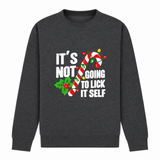 Candy Cane - Funny Christmas Jumper