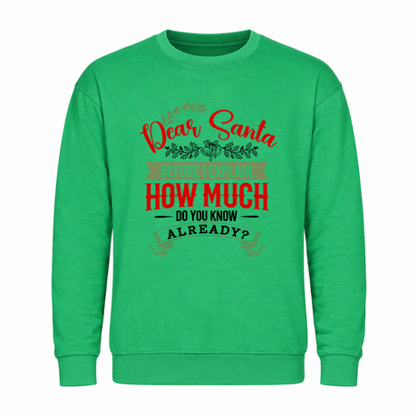 Guilty - Funny Christmas Jumper